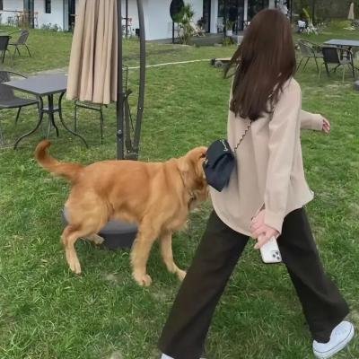食戟之灵第四季